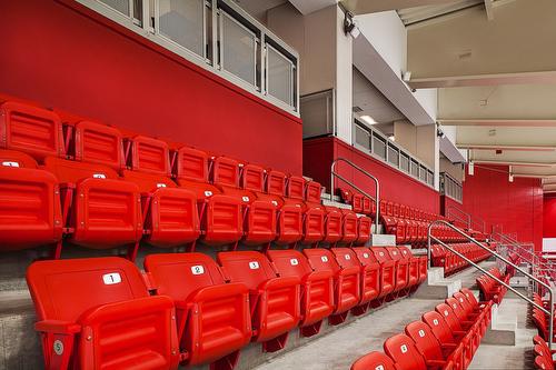 Detroit Red Wings Arena Railings