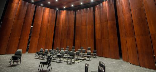 Bravado Acoustical Shell