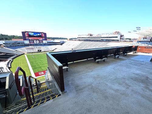 Doak Campbell Stadium at FSU Renovation