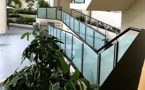 Double Tree Glass Railings