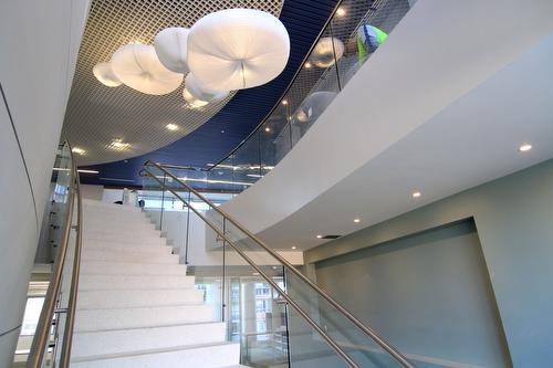 Glass and Stainless Steel Railings Healthcare